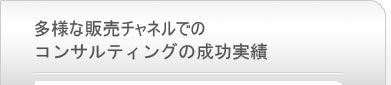 多様な販売チャネルでのコンサルティングの成功実績